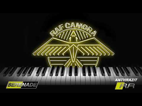 RAF Camora - SERENADE (Anthrazit RR) #04