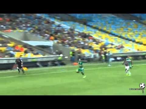 Fluminense 1x4 Chapecoense - Gols e Lances - Brasileirão 2014 - 20/11/2014