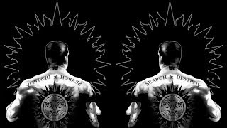 Rollins Band : Human (Demo)