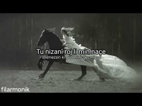 Xecê - Tu nizanî (Lyrics+Türkçesi)