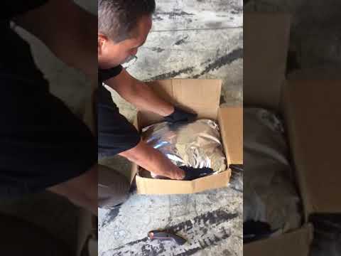 Decomisa FGR marihuana enviada por avión