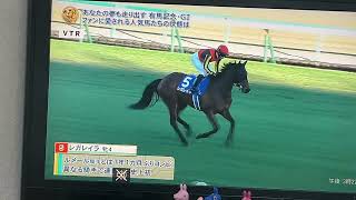 【本馬場入場実況】第70回有馬記念（グランプリ）（G1）