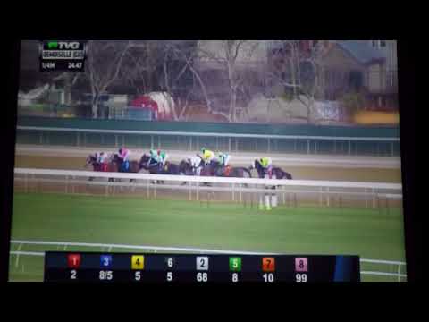 DEMOISELLE  (G 2) STAKES $250,000 - 2017 - WONDER GODOT !!