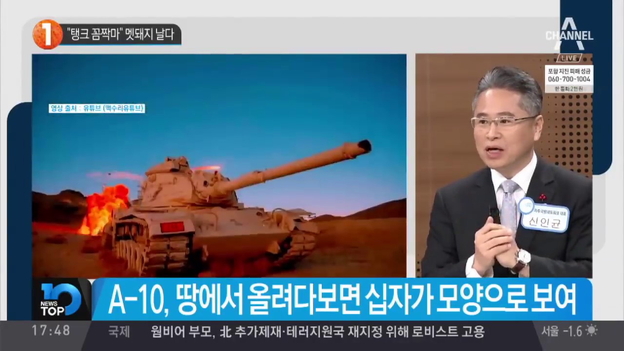 “탱크 꼼짝마” 멧돼지 날다