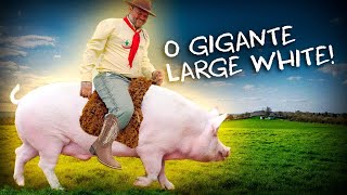 Miniatura do vídeo