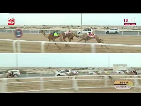 ش 1 (نجود) لـ منصور محمد منصور آل سيف الخيارين 7:34:07 , مهرجان ختامي الشحانية 2026/04/21 لقايا