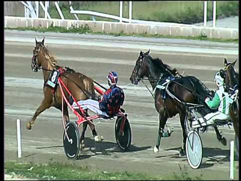 Trotto 20/03/2016 - 1° corsa