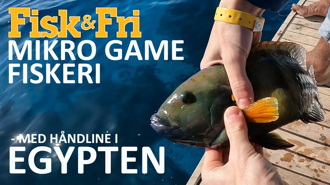 NY VIDEO: MIKRO GAME FISKERI – MED HÅNDLINE I EGYPTEN