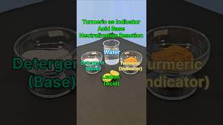 Turmeric as Indicator Acid Base Neutralization Reaction 😱 Simple Experiment #scienceproject #shorts