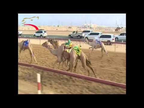 إيذاع- 4 ك- #الطي - 5-9-2015– ش12 محذر لـ سالم مانع الغويص السويدي ت:6:29:92