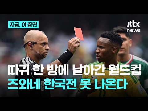 따귀 한 방으로 3경기 출전 정지, 월드컵 날린 남아공 즈와네