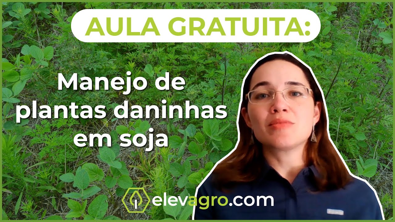 Aula Gratuita: Manejo integrado de plantas daninhas na soja