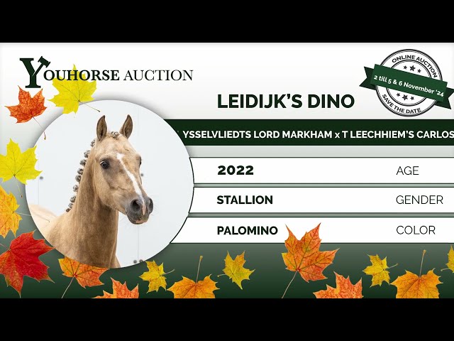 Leidijk’s Dino