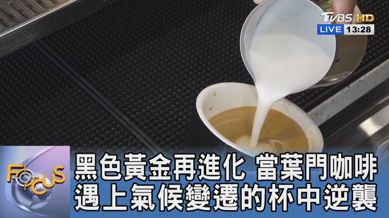 黑色黃金再進化 當葉門咖啡遇上氣候變遷的杯中逆襲