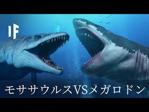 海洋恐竜の種類 - 名前と写真