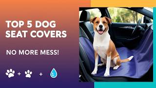 Top 5 Best Car Pet Seat Covers 2026 🐶 Waterproof & Scratch-P