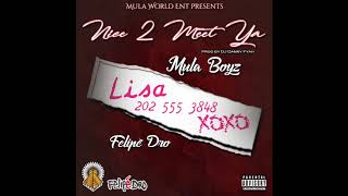 Mula Boyz   Nice 2 Meet U ft.  Felipé Dro [Official Audio]
