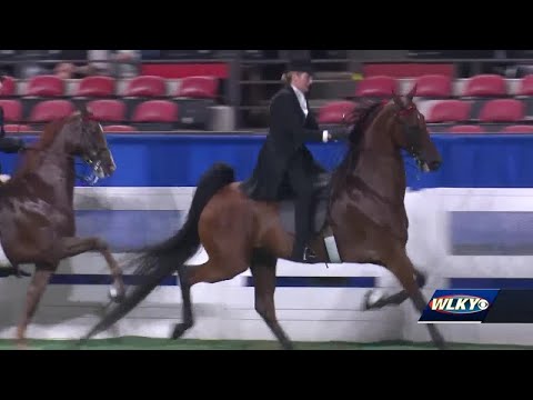Kentucky State Fair wraps up with World Championship Horse Show