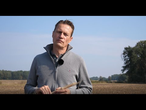 Die richtige Stoppelbearbeitung