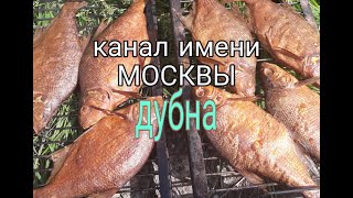 Ловля налима на канале им москвы
