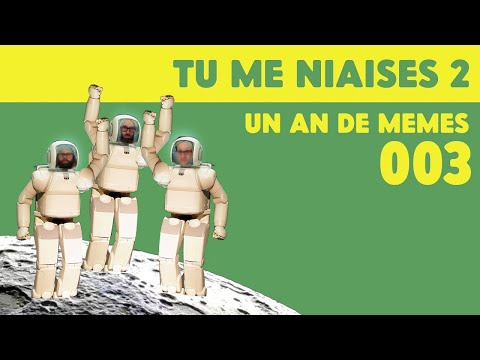 TMN2 - 003 UN AN DE MEMES