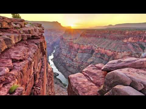 Finding Dylan Part 15 - Animatronic Forest