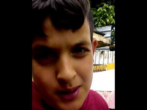 Traicho bg . Geiming