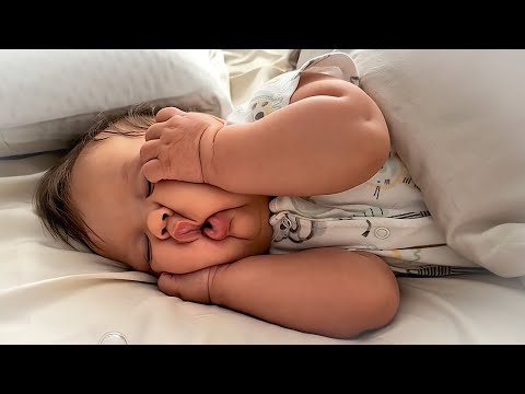 #11 Die besten Videos 2026 || ✪ Stern DuTube