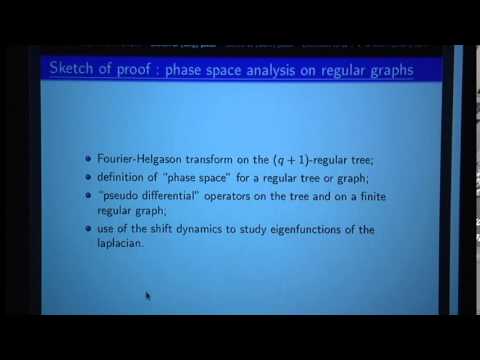 Nalini Anatharaman - Quantum ergodicity on large graphs.