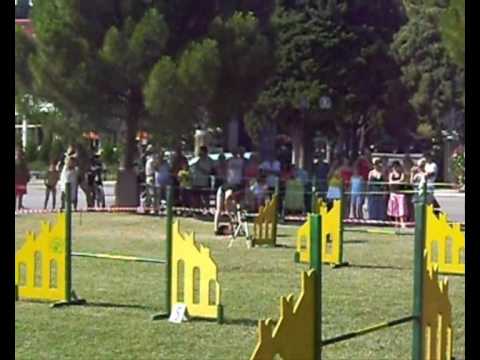 agility Portorož Glen 10 jul 2010 A1