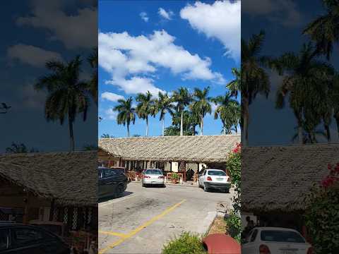 Palenque #cuba #havana #lahabana #cubaviajes #cubaplaya