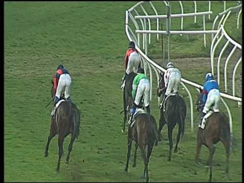 Galoppo 16/11/2016 - 4ª corsa