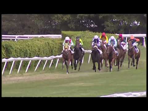 17 agosto 2025 - 1.a corsa Premio UNIONE PROPRIETARI GALOPPO