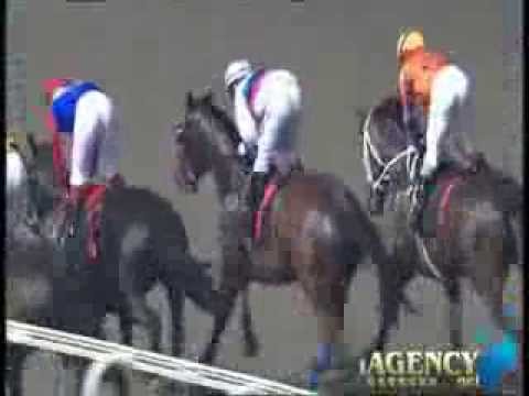 SINGAPORE RACE 15/11/2013 RACE 7 - iAgencyNet.com