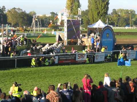 Cílová rovinka 123.ročníku Velké Pardubické 2013