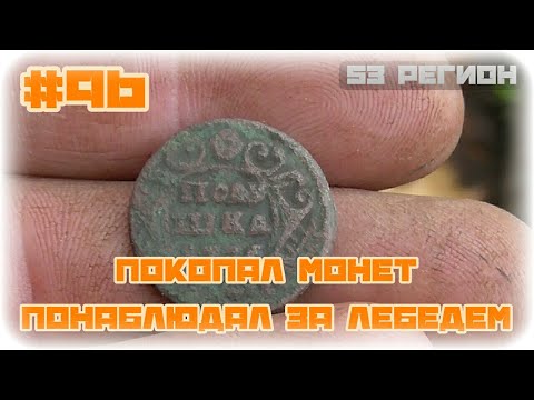 КОП #96 - Поискал монет, понаблюдал за лебедем