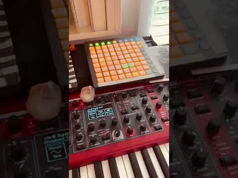 Getting Prepped for Tour!