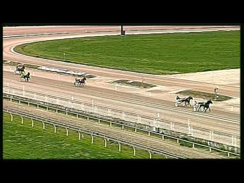 Trotto 28/02/2020 - prova di qualifica