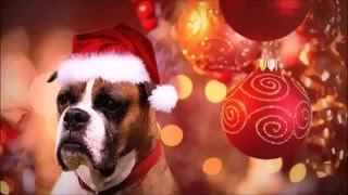 Seasons Greetings - We Wish You A Merry Christmas - Helen Jane Long