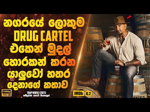 නගරයේ ලොකුම cartel එකෙන් මුදල් හොරකන් කරන යාලුවෝ හතර දෙනාගේ කතාව | Sinhala Movie