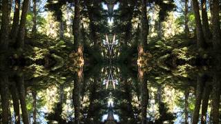 Neon Cactus - Light In Shining Karma (Original Mix)