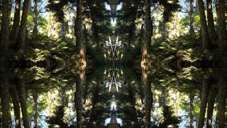 Neon Cactus - Light In Shining Karma (Original Mix)