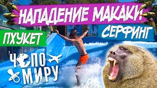 Макса ударила обезъяна. Серфинг на Пхукете. Где бесплатно показаться на великах? Парк динозваров