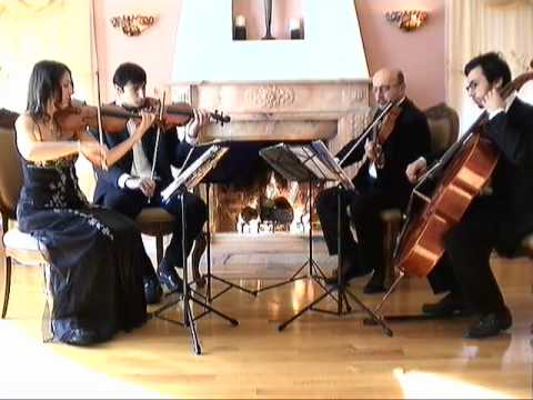 Promotional video thumbnail 1 for Bravo String Quartet / Bravo Music