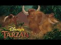 PS1 Disney S Tarzan ENG Full 4K Stampede Level 4