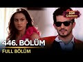 Aşk Çıkmazı Hint Dizisi 446 Bölüm