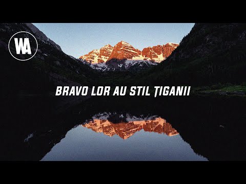Theo Rose ❌ Kana Jambe & Arabii Lu’ Bursuc - Bravo Lor Au Stil Tiganii ( Versuri/Lyrics )