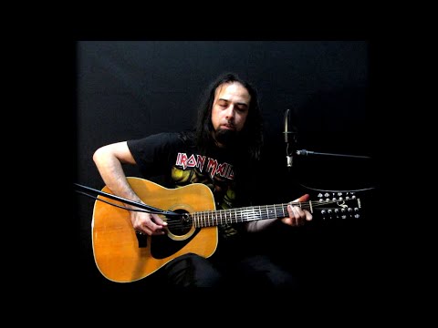 Wasting Love - Iron Maiden acoustic cover by Aged Teen