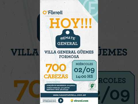 REMATE GENERAL VILLA GENERAL GÜEMES - FORMOSA