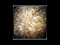 Horse Feathers - Thistled Spring
